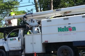 2013 Nelson Tree Service