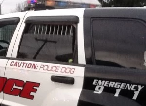 2013.09.20 POLICE DOG-CAUTION