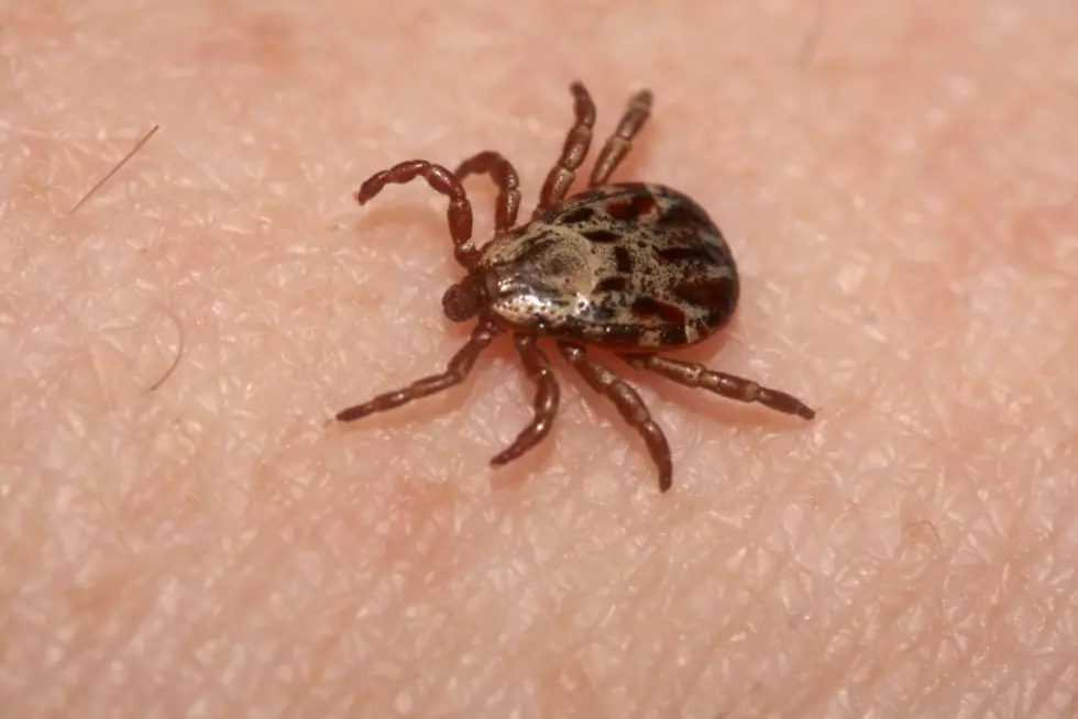 Lyme Disease Featured on Southern Tier Close Up