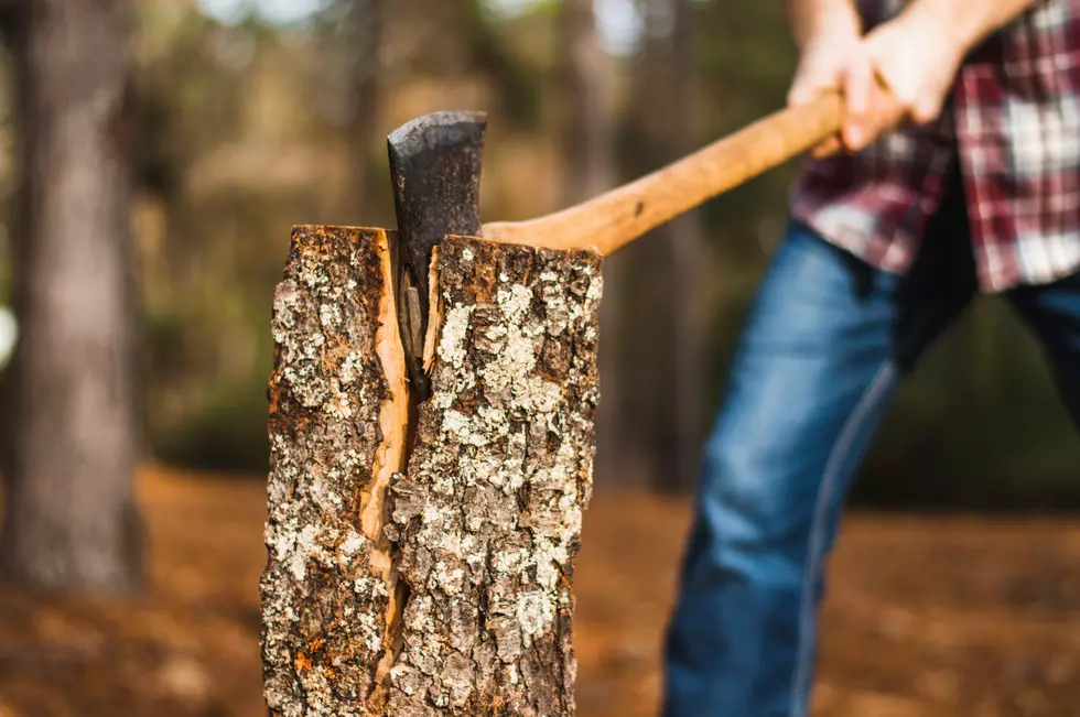 New York State Enforcing Firewood Law This Summer