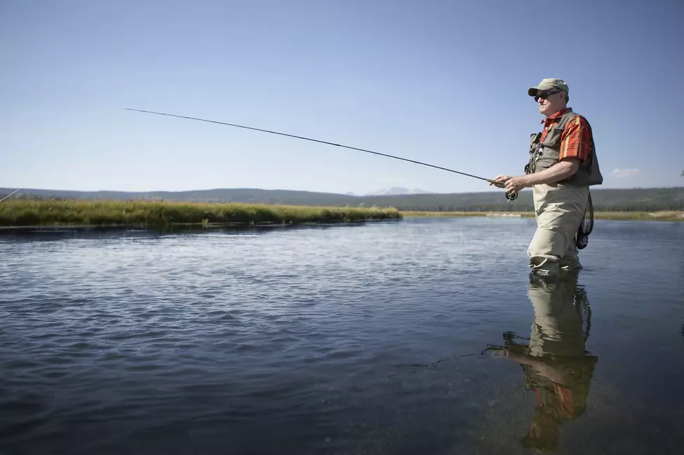If You Hunt And Fish In New York, This App Is For You