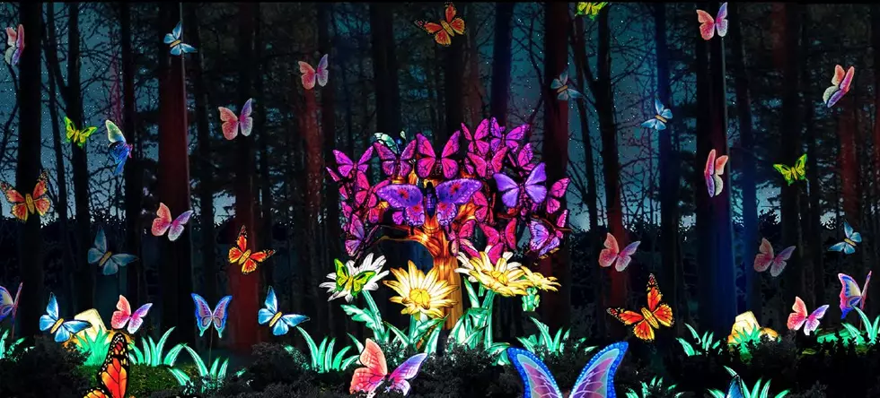 Breathtaking Giant Lantern Sculptures at Binghamton’s Ross Park Zoo