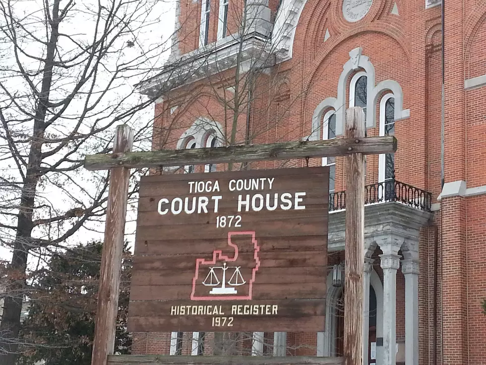 Tioga District Attorney Candidate Wants Gun Law Repealed