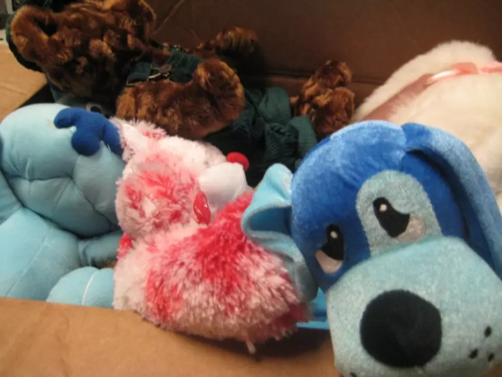 Stay at Home Families Go “Bear Hunting” During Coronavirus Pandemic