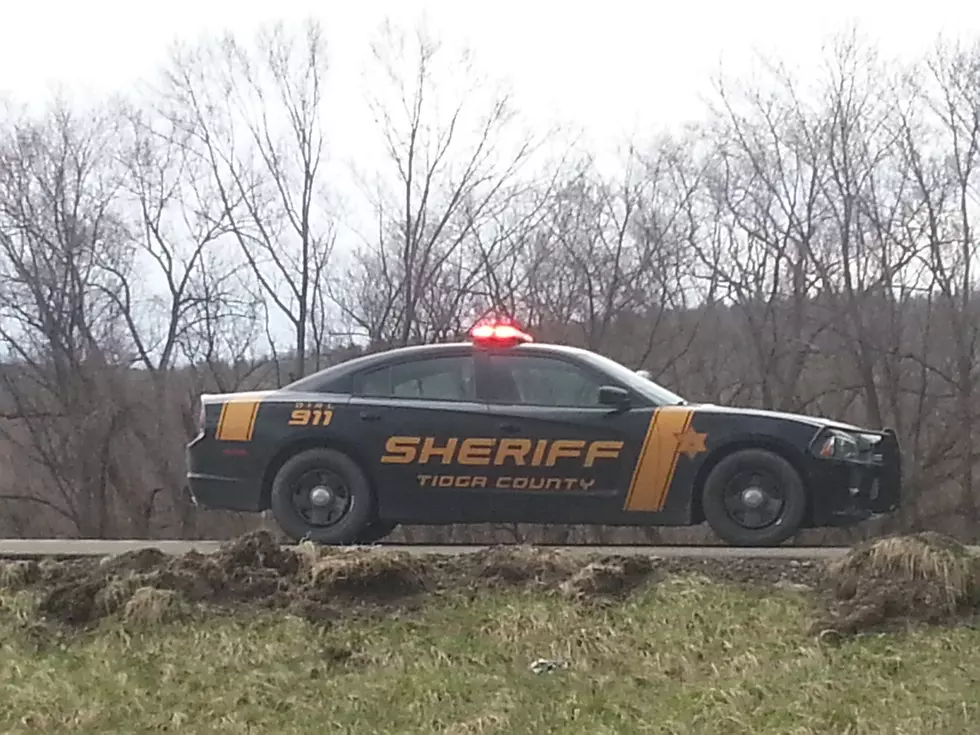 Tioga County New York Sheriff Arrest Report