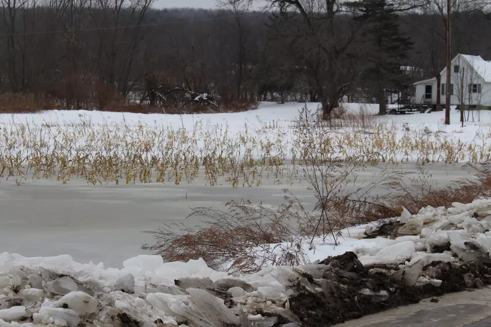 Chunks of ice along Kinney Road in Campville, where a water rescue operation occurred on January 14. (Photo: Bob Joseph/WNBF News)