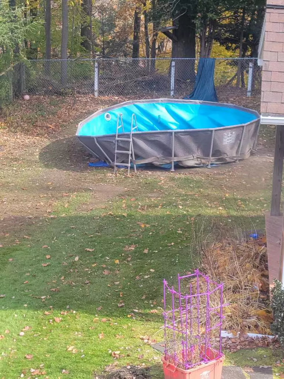 Bear Broken Pool