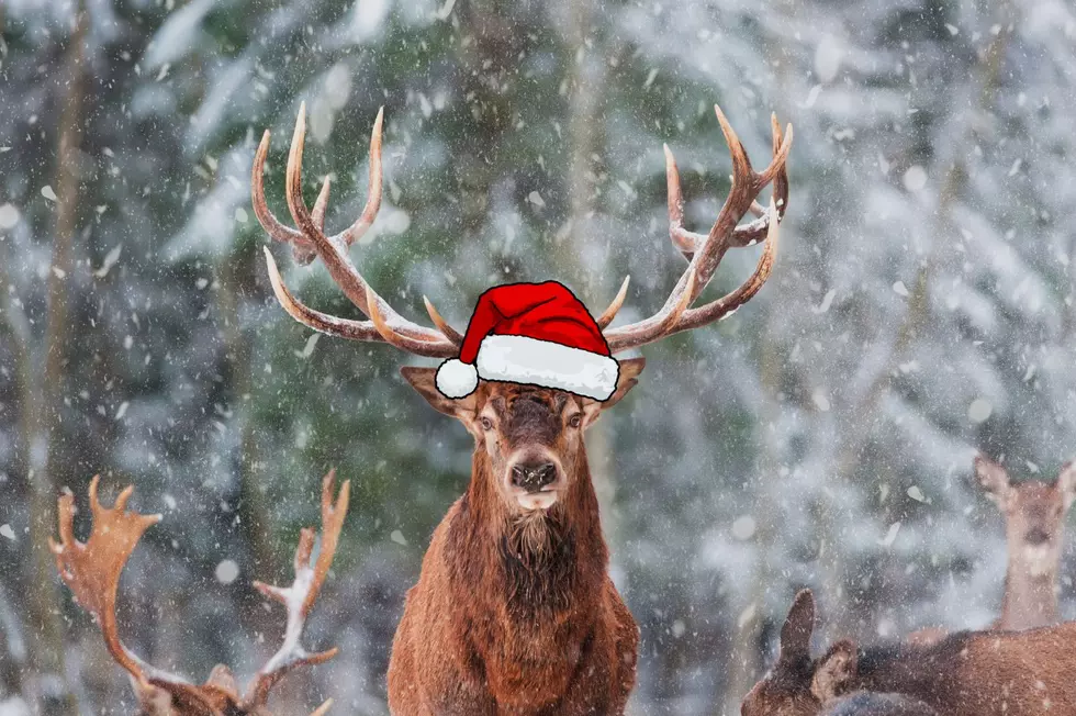 New York Governor Kathy Hochul Vetoes Bill to Ban Holiday Hunting