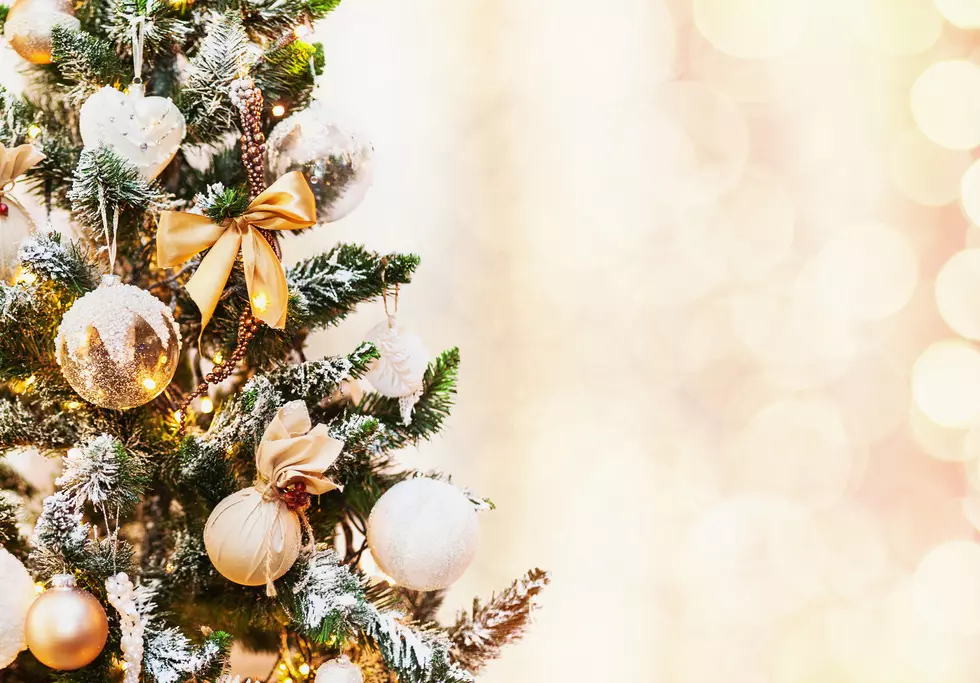 Holiday Luncheons Planned For Broome County New York Senior Centers