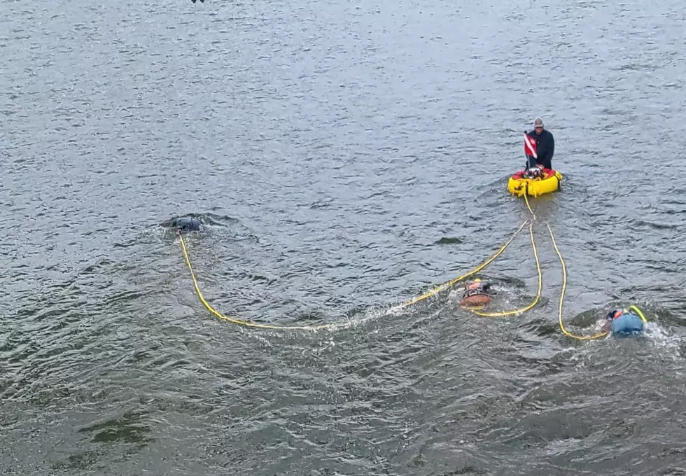 Endangered Mussels May Be Moved Before Broome Bridge Demolition