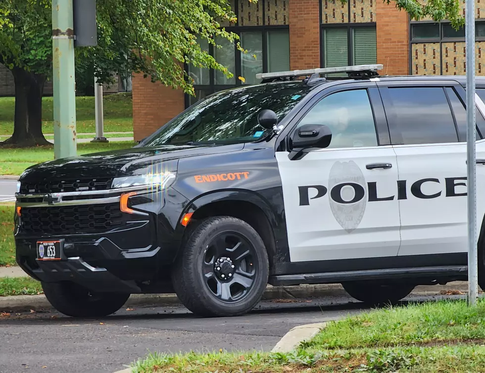 Endicott Police Testing ShotSpotter Gunshot Detection System