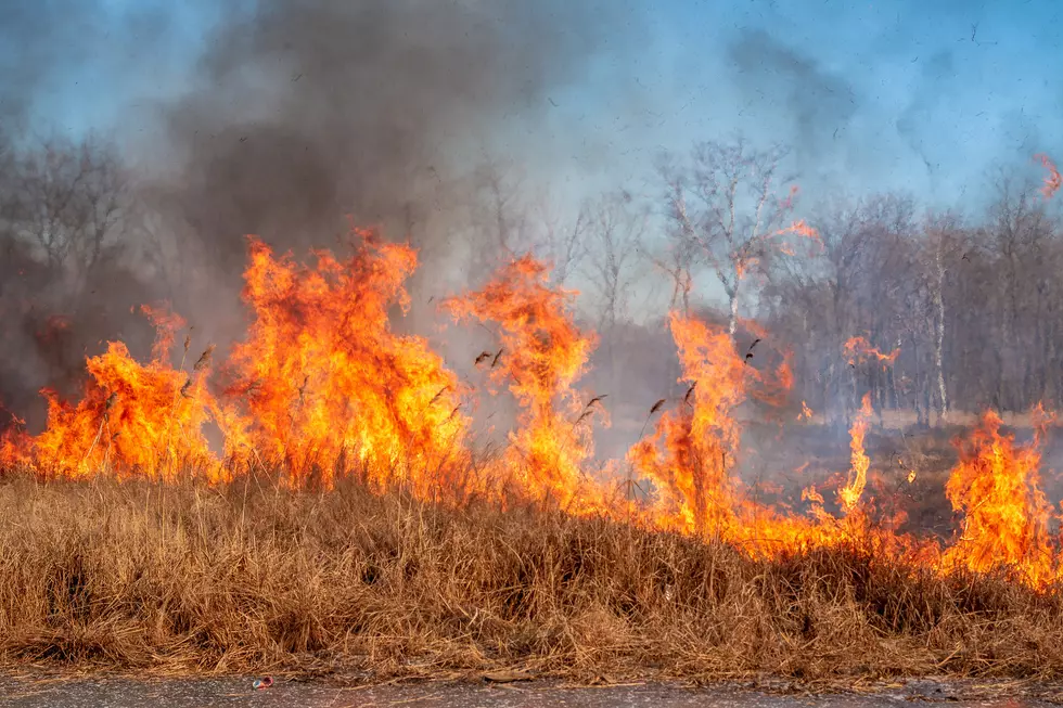 HAZARD: Over 12 Wildfires Ignited Across New York State