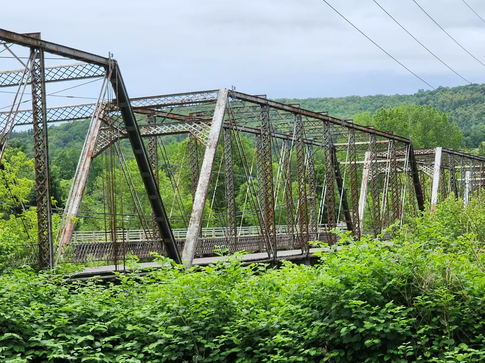 Broome County Moving Mussels for Bridge Demolition Job