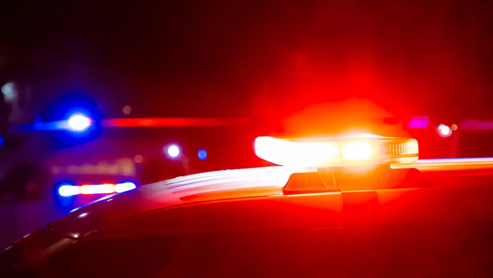 Vestal, New York Police 10 Day Arrest Blotter Released